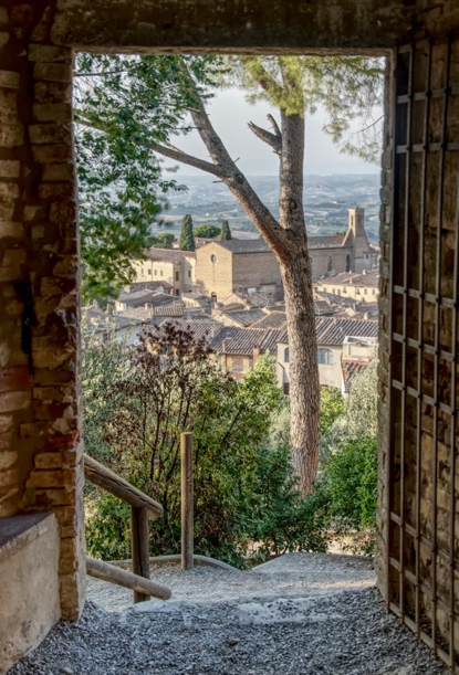 siena and trees
