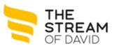 Logo David