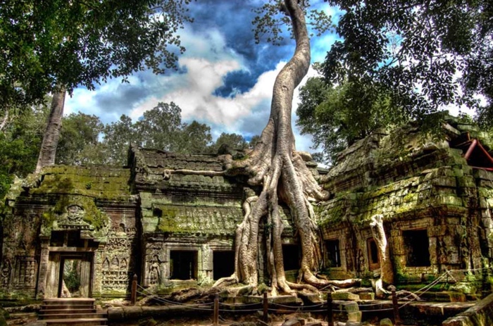 Ta Prohm Temple